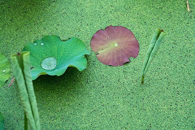 多人生存名作《腐蚀》新更新上线 中世纪战场开放